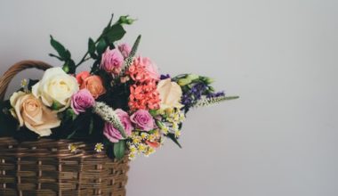 Flower bouquets